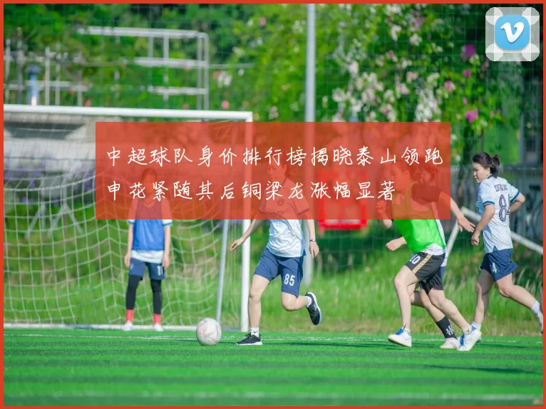 中超球队身价排行榜揭晓泰山领跑申花紧随其后铜梁龙涨幅显著